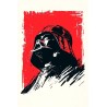 Vinilo Adhesivo Star Wars 01342