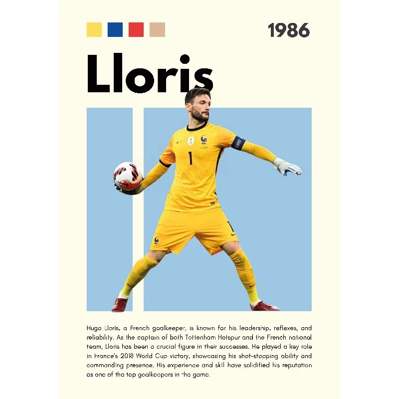 Lloris Vinilo Adhesivo Coleccion Fútbol Lloris Vinilo Adhesivo Coleccion Fútbol