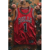 Bulls Vinilo Adhesivo Coleccion NBA 01083