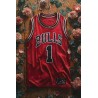 Vinilo Adhesivo Bulls Coleccion Nba 01083