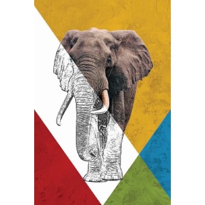 Vinilo Adhesivo Elefante Coleccion Pintura Animales 0002