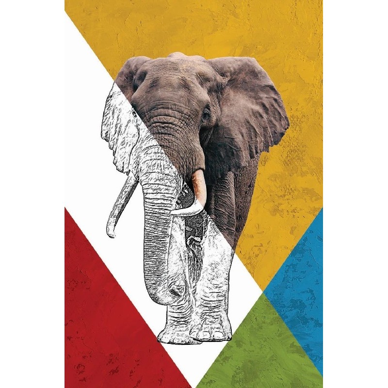 Vinilo Adhesivo Elefante Coleccion Pintura Animales 0002