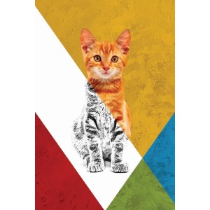 Vinilo Adhesivo Gato Naranja Coleccion Pintura Animales 0005