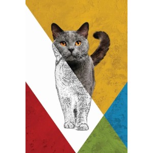 Vinilo Adhesivo Gato Gris Coleccion Pintura Animales 0007