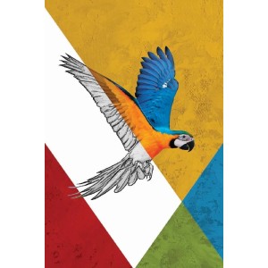 Vinilo Adhesivo Guacamayo Coleccion Pintura Animales 0008