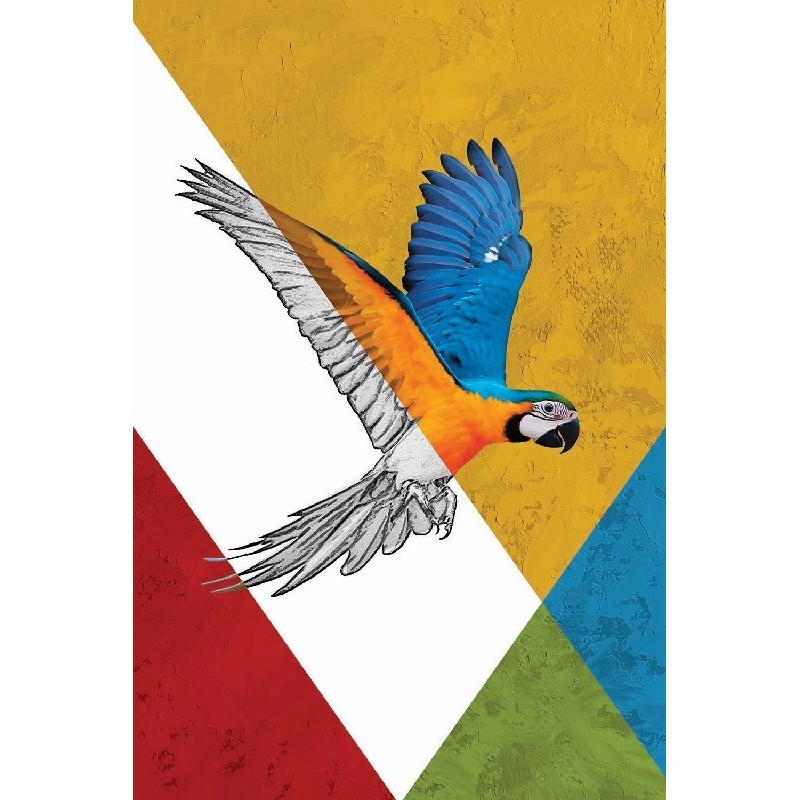 Vinilo Adhesivo Guacamayo Coleccion Pintura Animales 0008 Vinilo Adhesivo Guacamayo Coleccion Pintura Animales 0008
