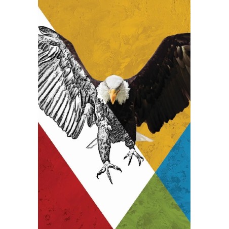 Vinilo Adhesivo Aguila Coleccion Pintura Animales 0010