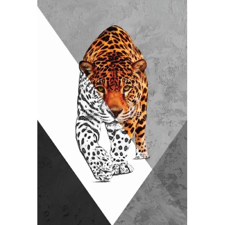 Vinilo Adhesivo Tigre Coleccion Pintura Animales 0014