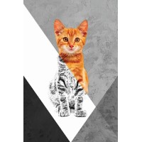 Vinilo Adhesivo Gato Naranja Coleccion Pintura Animales 0015