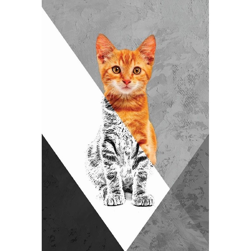 Vinilo Adhesivo Gato Naranja Coleccion Pintura Animales 0015