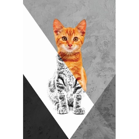 Vinilo Adhesivo Gato Naranja Coleccion Pintura Animales 0015
