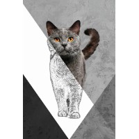 Vinilo Adhesivo Gato Gris Coleccion Pintura Animales 0017