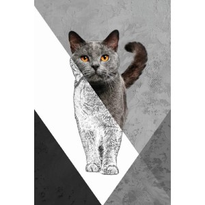 Vinilo Adhesivo Gato Gris Coleccion Pintura Animales 0017