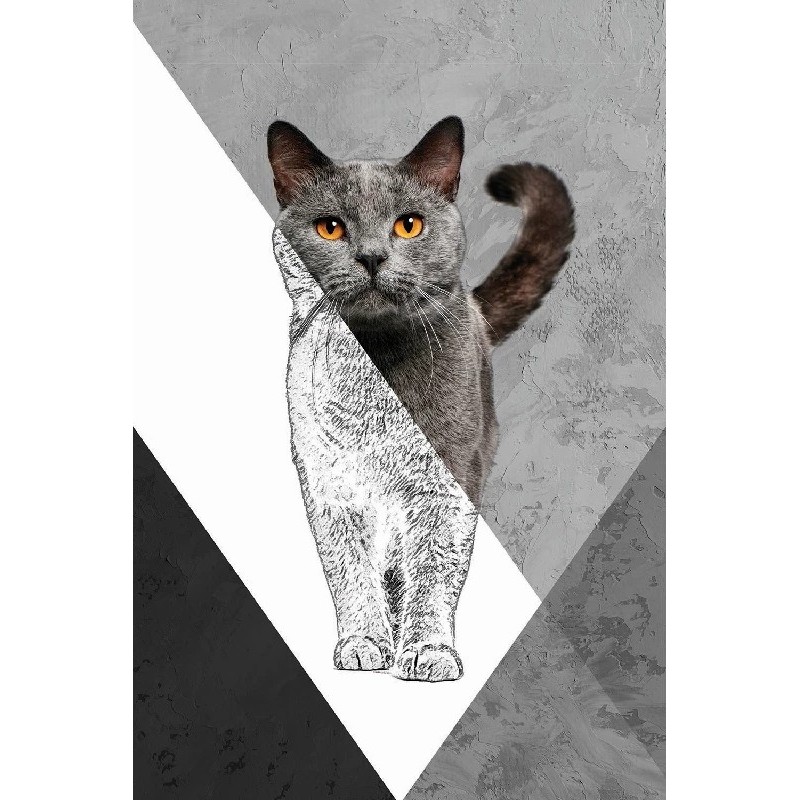 Vinilo Adhesivo Gato Gris Coleccion Pintura Animales 0017