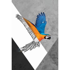 Vinilo Adhesivo Guacamayo Coleccion Pintura Animales 0018