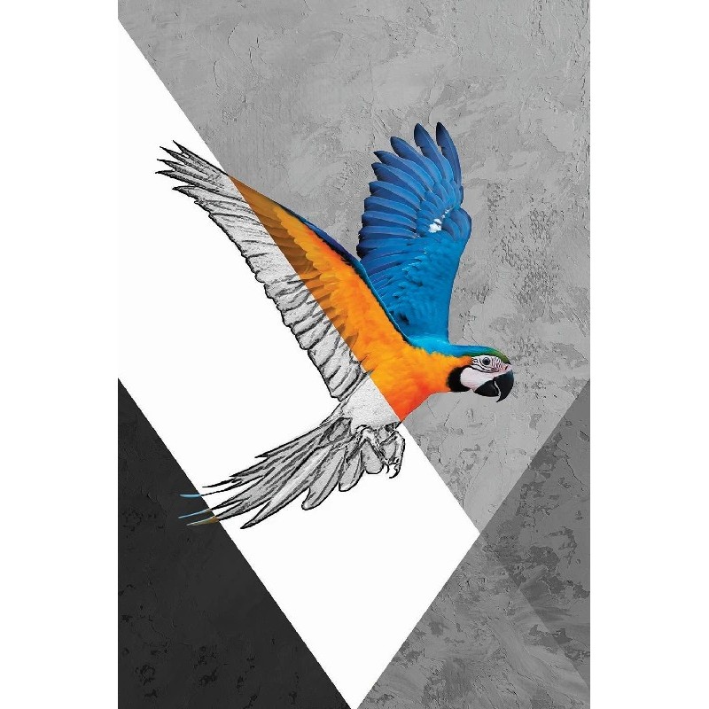 Vinilo Adhesivo Guacamayo Coleccion Pintura Animales 0018 Vinilo Adhesivo Guacamayo Coleccion Pintura Animales 0018