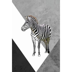 Vinilo Adhesivo Cebra Coleccion Pintura Animales 0019