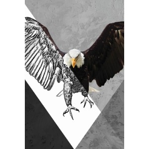 Vinilo Adhesivo Aguila Coleccion Pintura Animales 0020