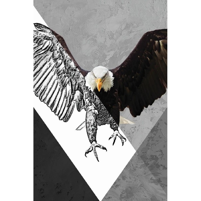 Vinilo Adhesivo Aguila Coleccion Pintura Animales 0020