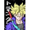 Vinilo Adhesivo Dragon Ball 01363
