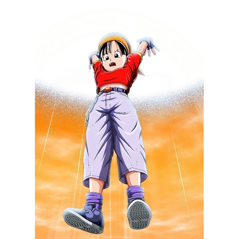 Vinilo Adhesivo Dragon Ball 01371
