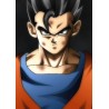 Vinilo Adhesivo Dragon Ball 01374