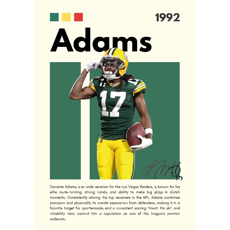 Vinilo Adhesivo Adams NFL 01539