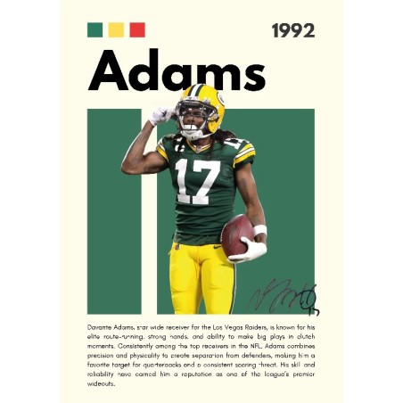 Vinilo Adhesivo Adams NFL 01539