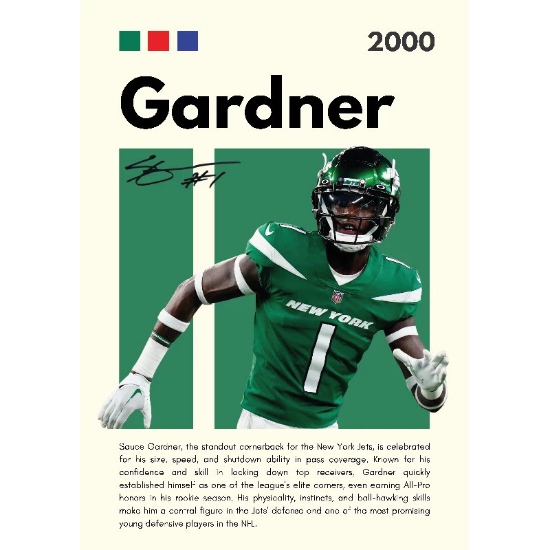 Vinilo Adhesivo Gardner NFL 01545