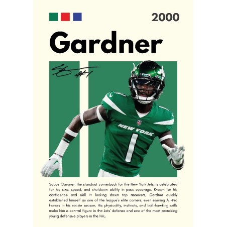 Vinilo Adhesivo Gardner NFL 01545