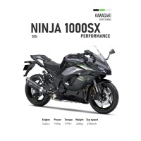 Vinilo Adhesivo Kawasaki Ninja 1000sx MotoBike 01549