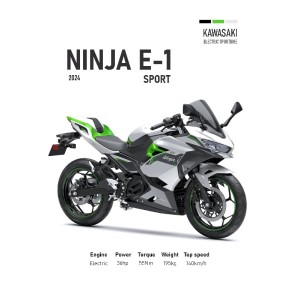 Vinilo Adhesivo Kawasaki Ninja E-1 MotoBike 01552
