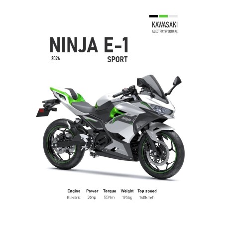 Vinilo Adhesivo Kawasaki Ninja E-1 MotoBike 01552