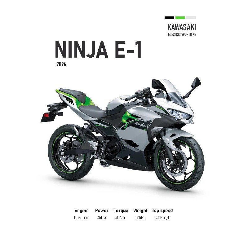 Vinilo Adhesivo Kawasaki Ninja E-1 MotoBike 01553 Vinilo Adhesivo Kawasaki Ninja E-1 MotoBike 01553