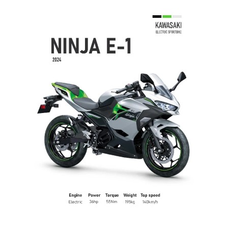Vinilo Adhesivo Kawasaki Ninja E-1 MotoBike 01553