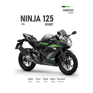 Vinilo Adhesivo Kawasaki Ninja 125 MotoBike 01554