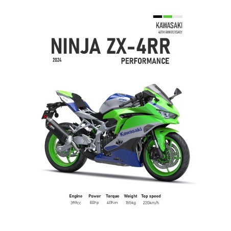 Vinilo Adhesivo Kawasaki Ninja ZX-4RR MotoBike 01555