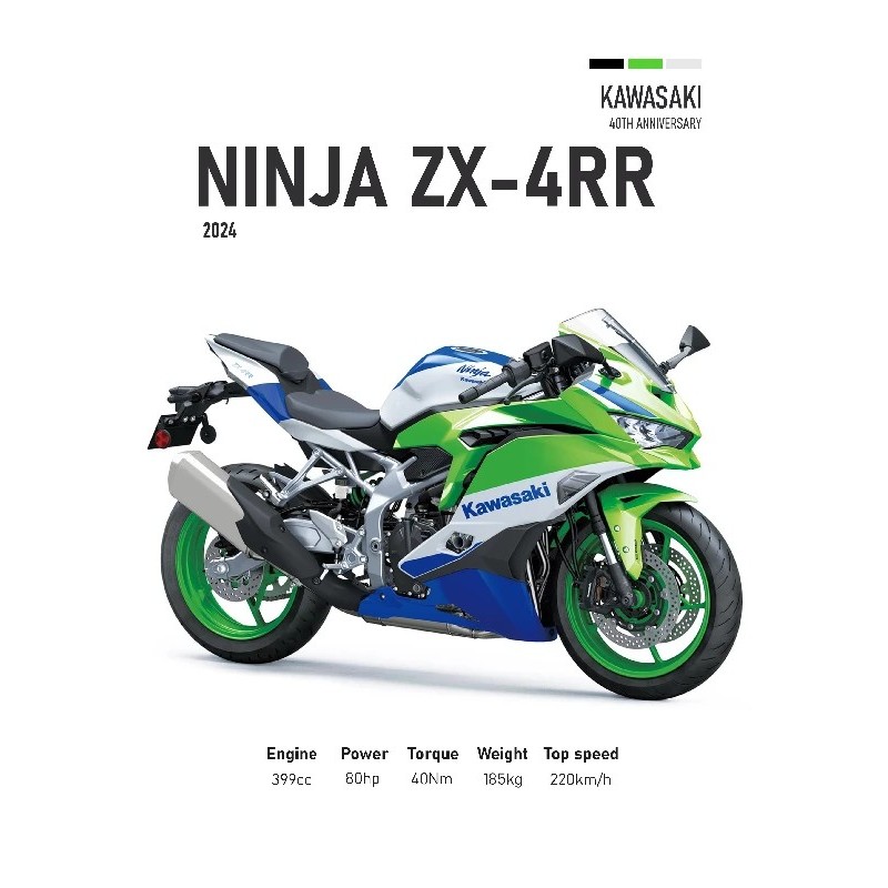 Vinilo Adhesivo Kawasaki Ninja ZX-4RR MotoBike 01556 Vinilo Adhesivo Kawasaki Ninja ZX-4RR MotoBike 01556