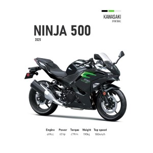 Vinilo Adhesivo Kawasaki Ninja 500 MotoBile 01586