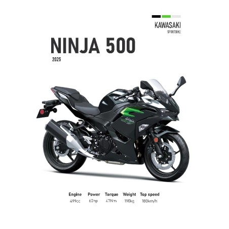 Vinilo Adhesivo Kawasaki Ninja 500 MotoBile 01586