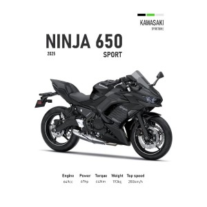 Vinilo Adhesivo Kawasaki Ninja 650 MotoBile 01587