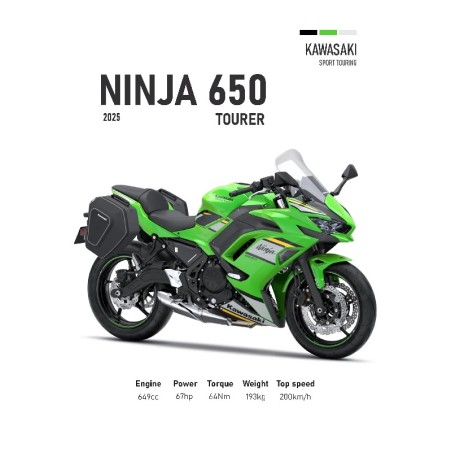 Vinilo Adhesivo Kawasaki Ninja 650 MotoBile 01588