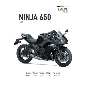 Vinilo Adhesivo Kawasaki Ninja 650 MotoBile 01589