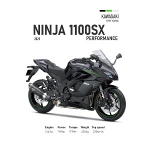 Vinilo Adhesivo Kawasaki Ninja 1100 SX MotoBile 01591