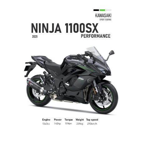 Vinilo Adhesivo Kawasaki Ninja 1100 SX MotoBile 01591