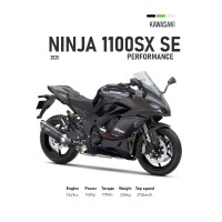 Vinilo Adhesivo Kawasaki Ninja 1100 SX SE MotoBile 01593