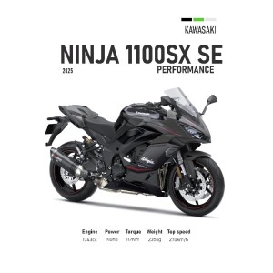 Vinilo Adhesivo Kawasaki Ninja 1100 SX SE MotoBile 01593