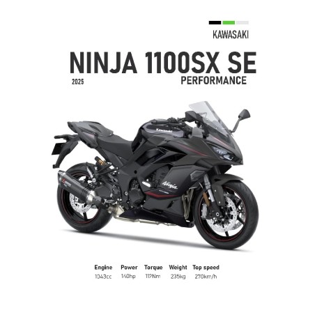 Vinilo Adhesivo Kawasaki Ninja 1100 SX SE MotoBile 01593