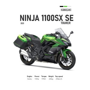Vinilo Adhesivo Kawasaki Ninja 1100 SX SE MotoBile 01594