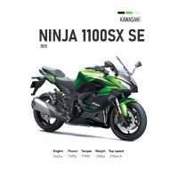 Vinilo Adhesivo Kawasaki Ninja 1100 SX SE MotoBile 01595